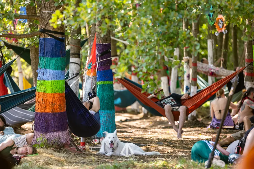 Hammocks between painted trees in the chill-out forest