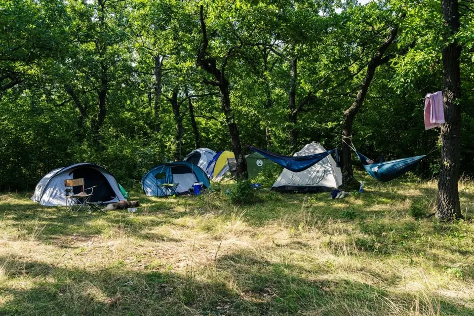 Šatori postavljeni u hladu šumskog kampa