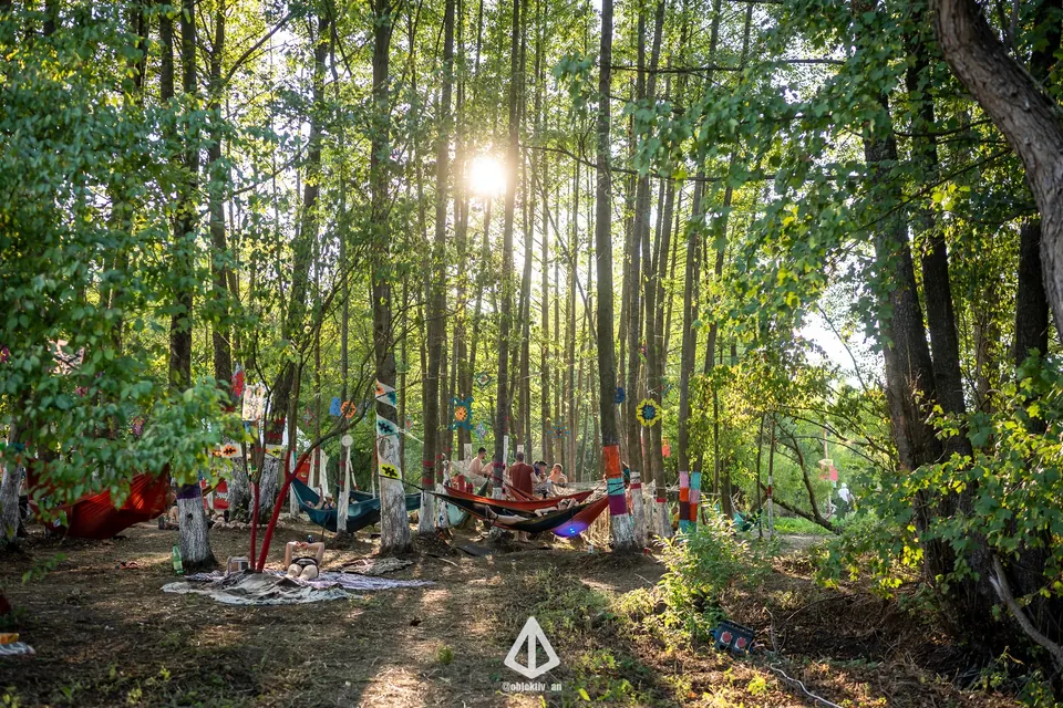 Shaded forest camp with hammocks and sunlight through the trees