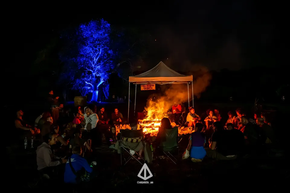 Fire at night under a blue-lit tree