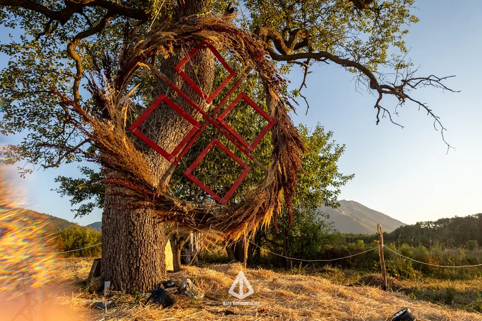 A woven art installation around a tree