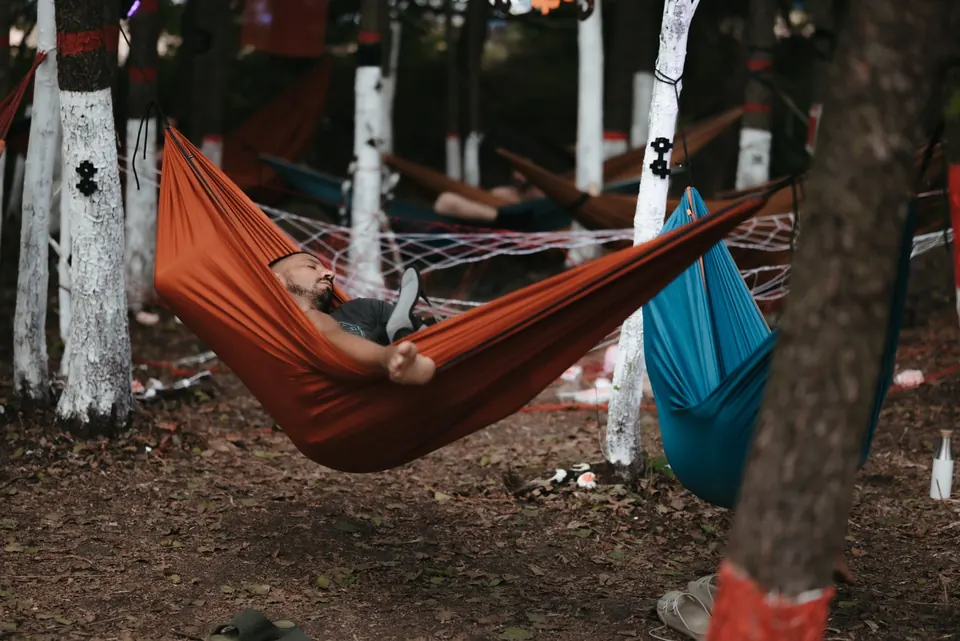 Hammocks among painted white trees