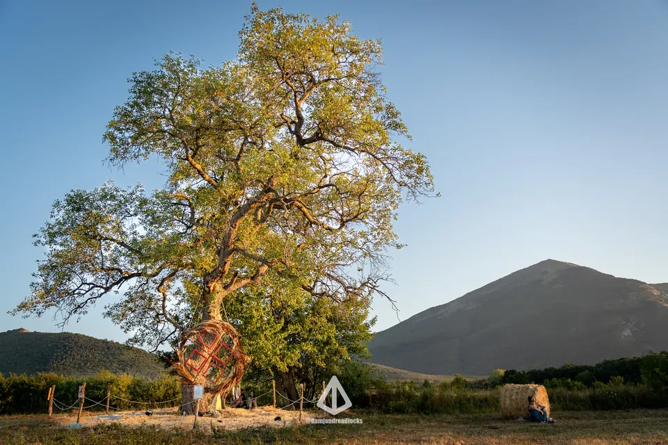The old oak tree in Pyramid Eco Village under Rtanj