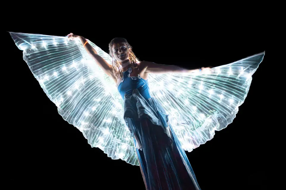 LED wings in the dark