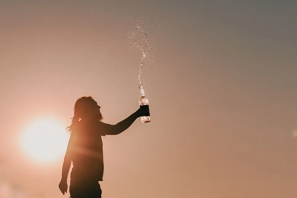 A sunset toast in silhouette