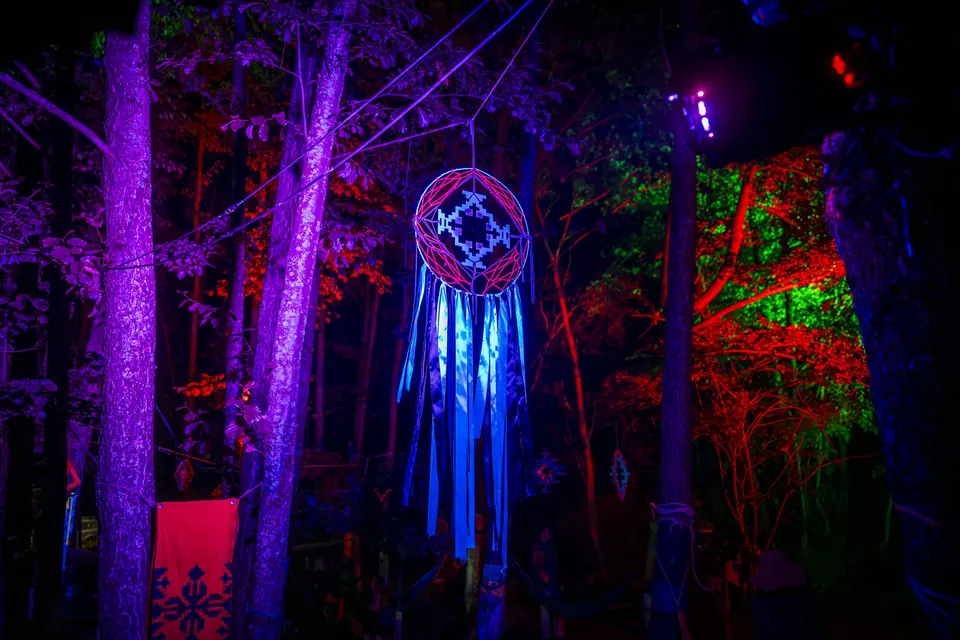 The forest lit in UV at night