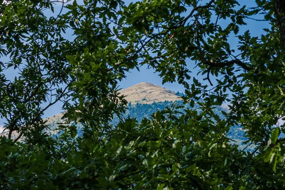 The peak of Rtanj seen through the trees